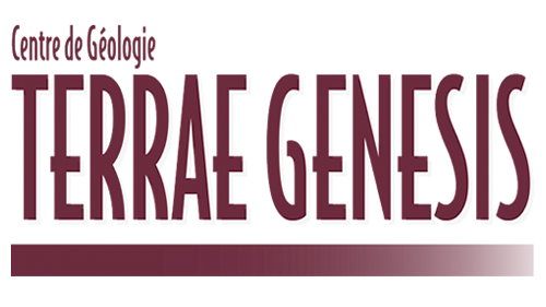 pensée critique